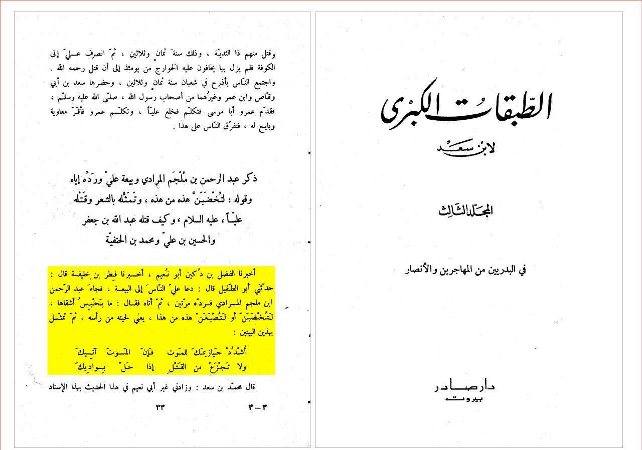 آگاهی امیر المؤمنین علیه السلام از مشخصات دقیق قاتل خود در هنگام بیعت (مصادر اهل سنت)